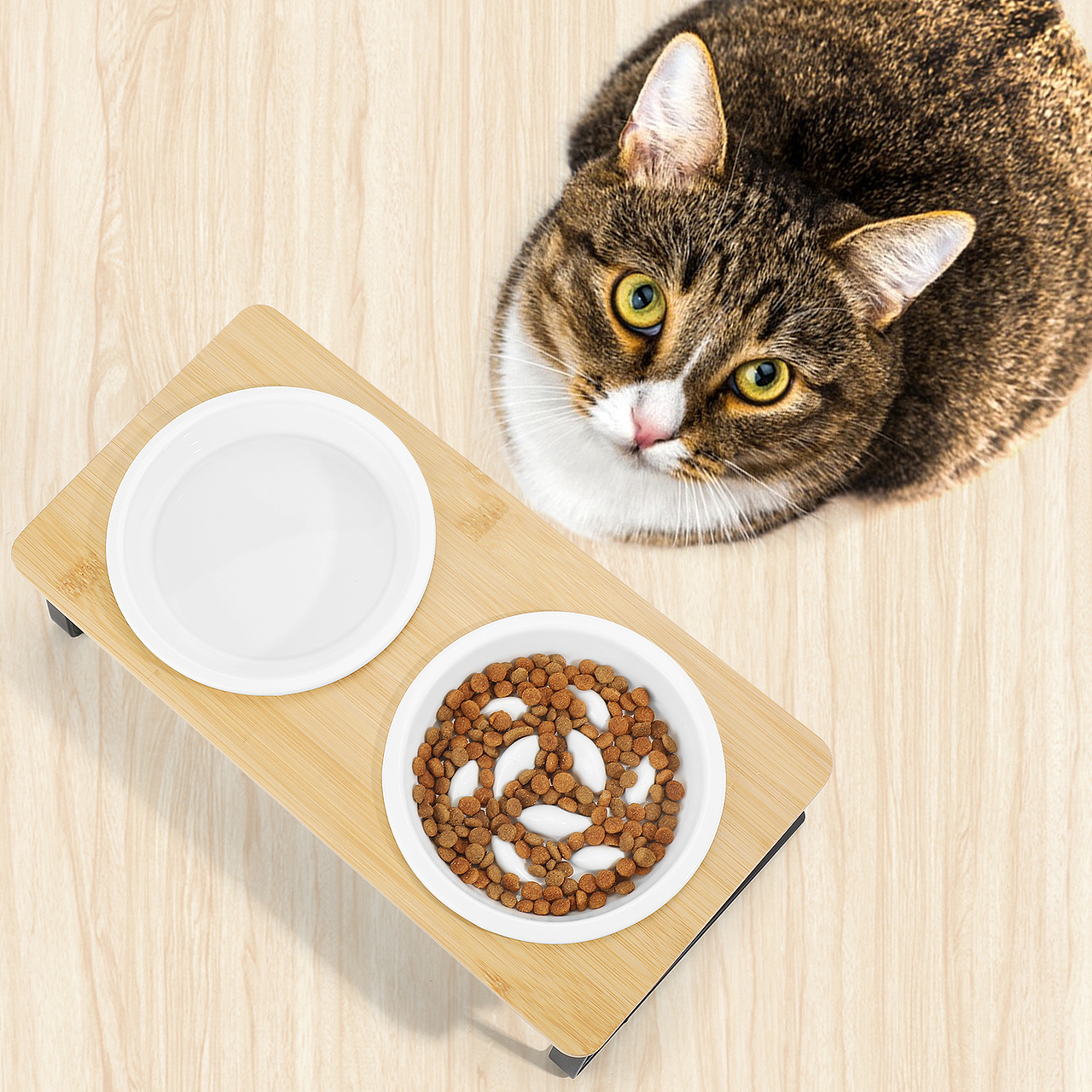 猫陶瓷双碗套装