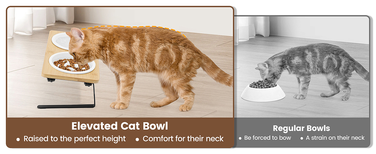 猫陶瓷双碗套装