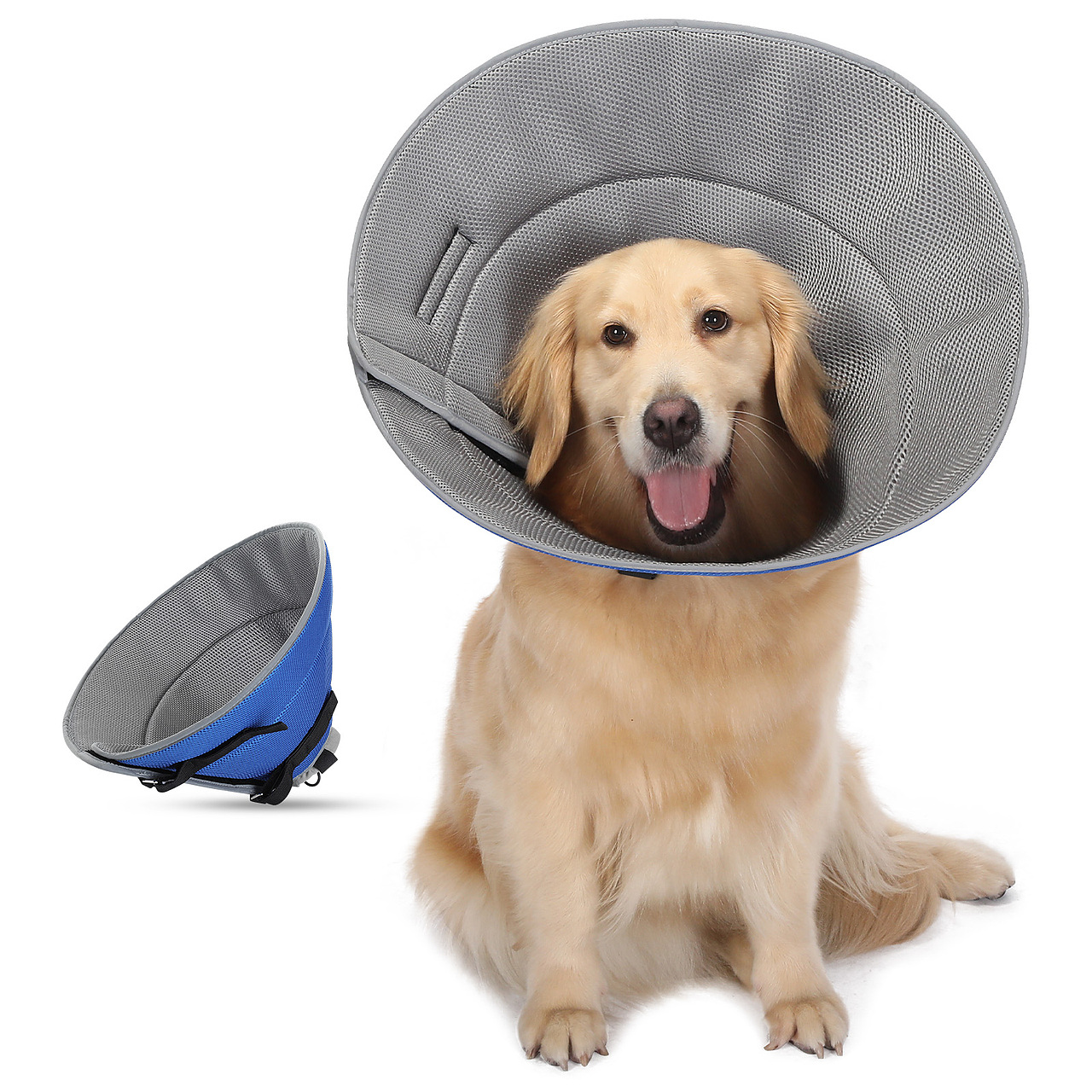 狗伊丽莎白圈-蓝色