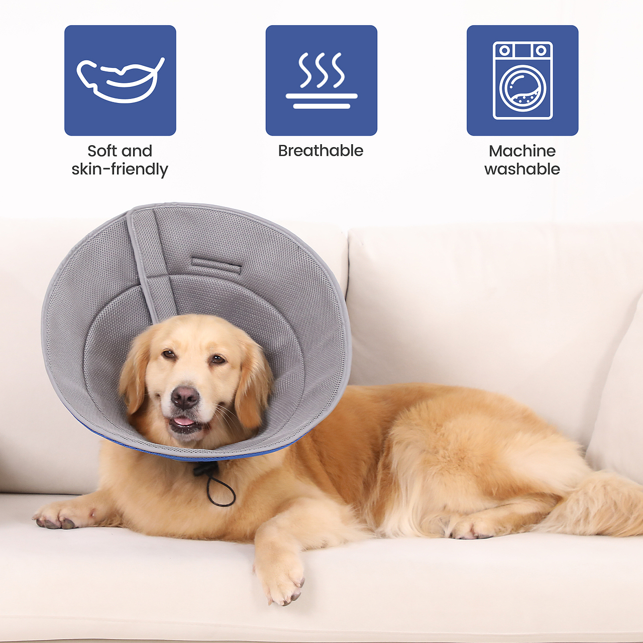 狗伊丽莎白圈-蓝色