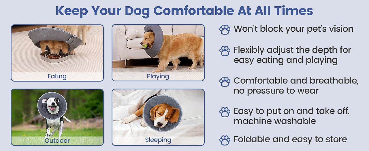 狗伊丽莎白圈-蓝色