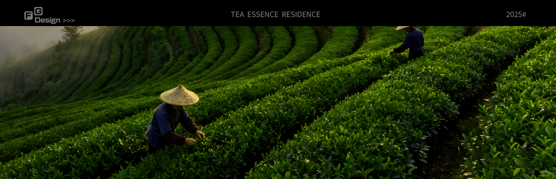 茶素居 | 茶叶品牌包装设计