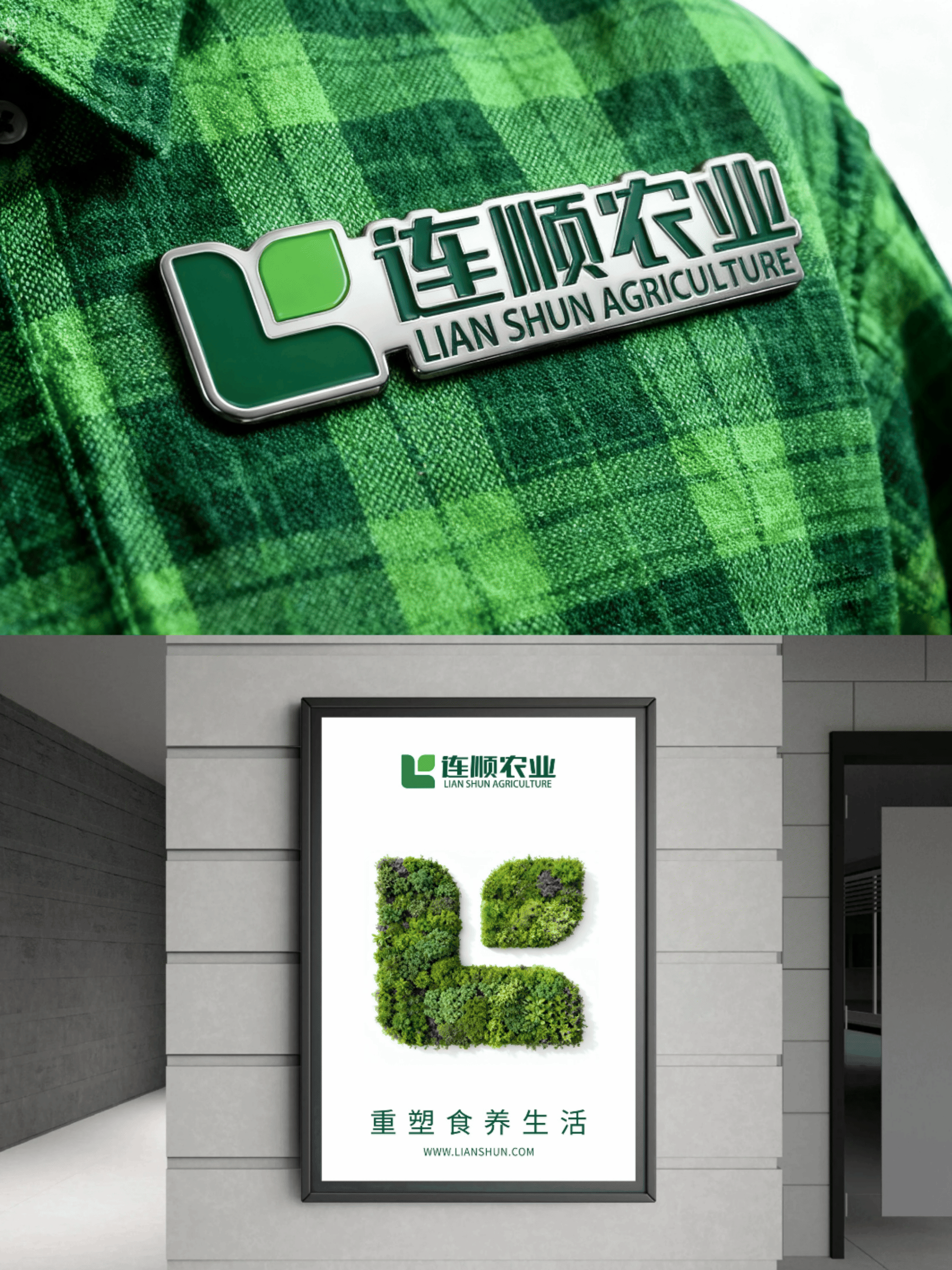 农业公司 l 连顺农业品牌设计