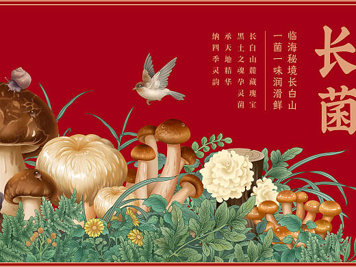 【长白菌礼】野生菌菇臻选礼盒菌菇插画包装礼盒设计