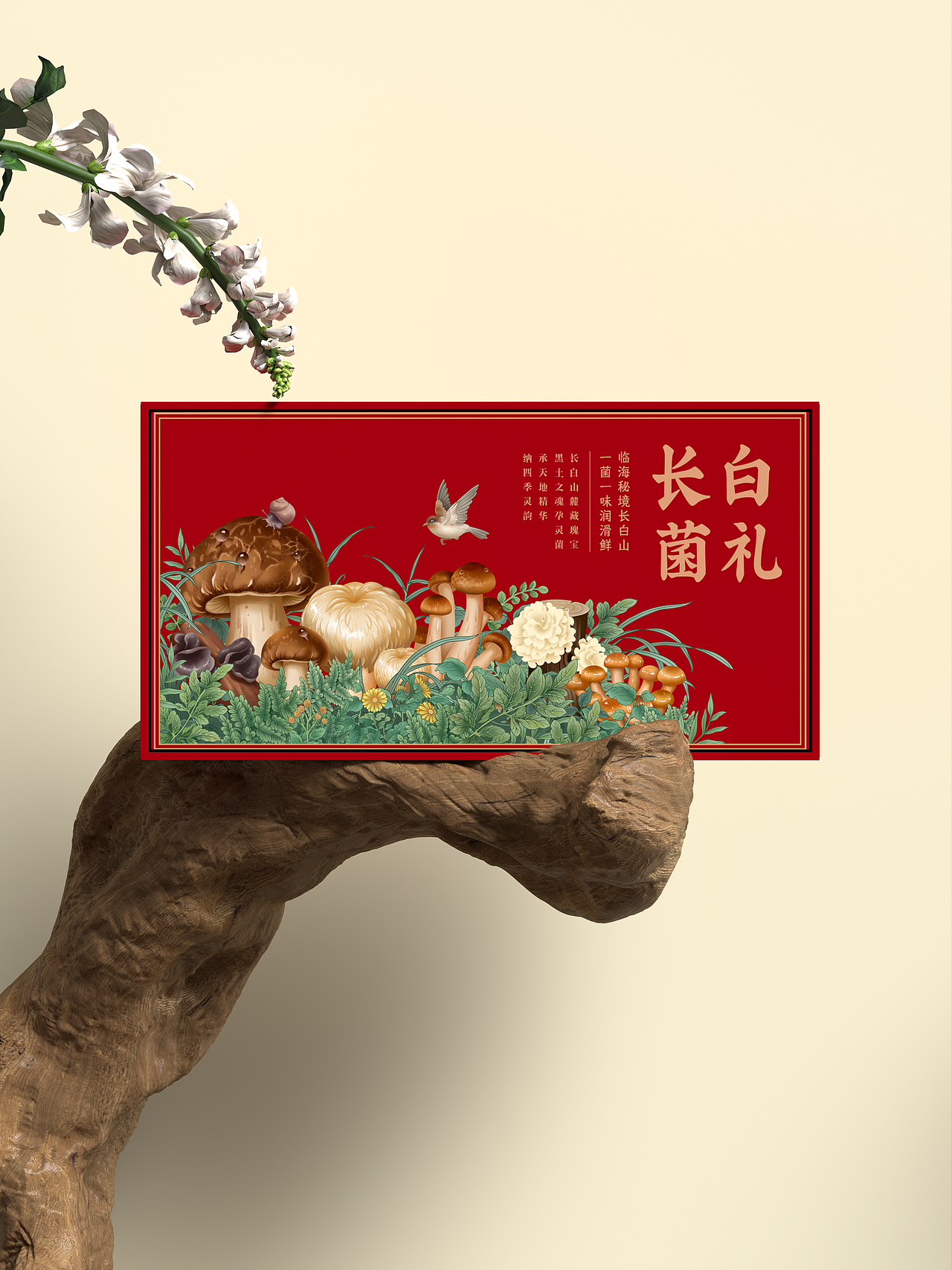 【长白菌礼】野生菌菇臻选礼盒菌菇插画包装礼盒设计（图ZMzk5MTM4MTU2） - 商业插画 - 站酷设计师南小笙原创素材 - 站酷ZCOOL