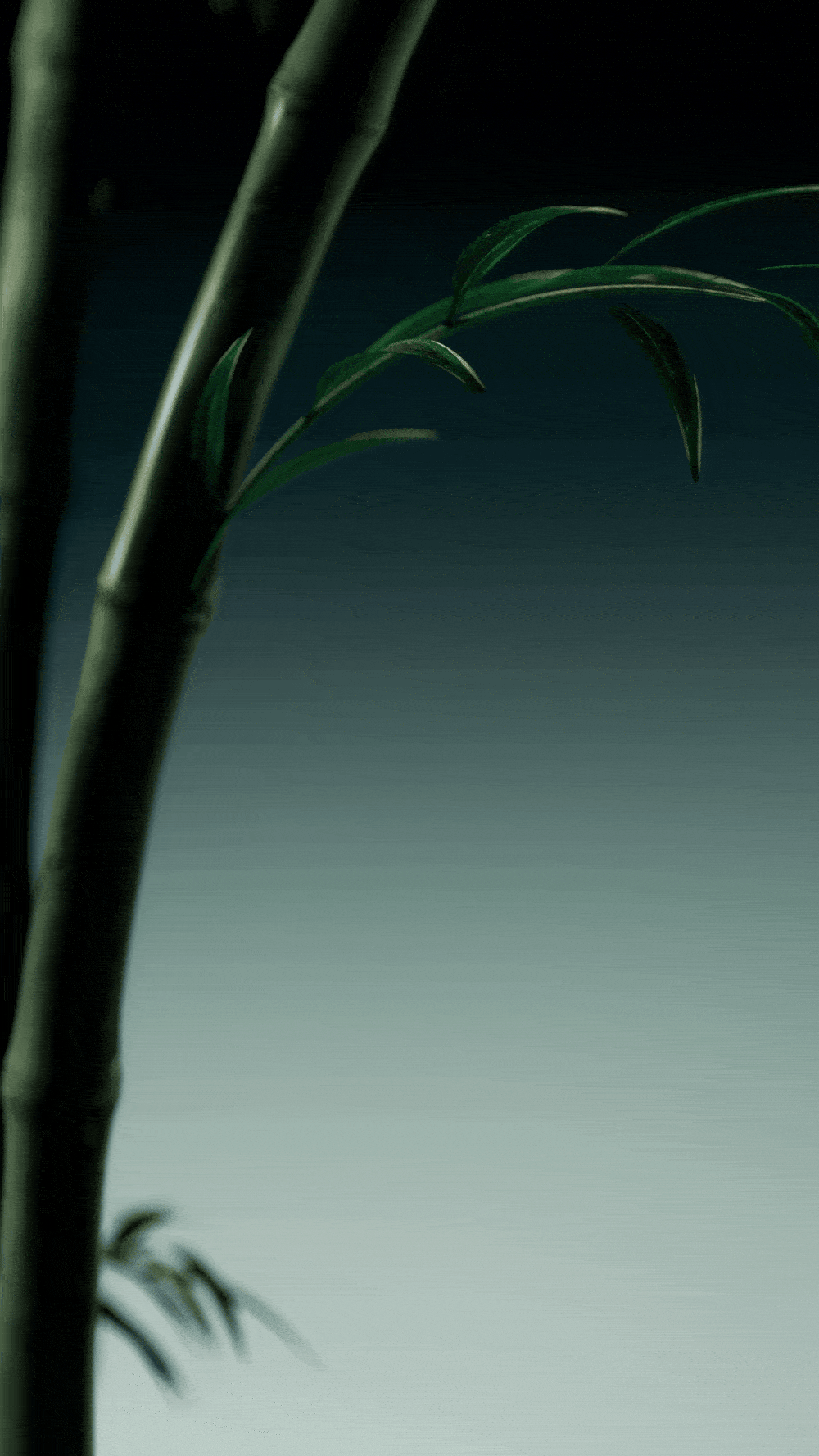 与山 竹 新中式香薰 品牌x三维动态设计合集