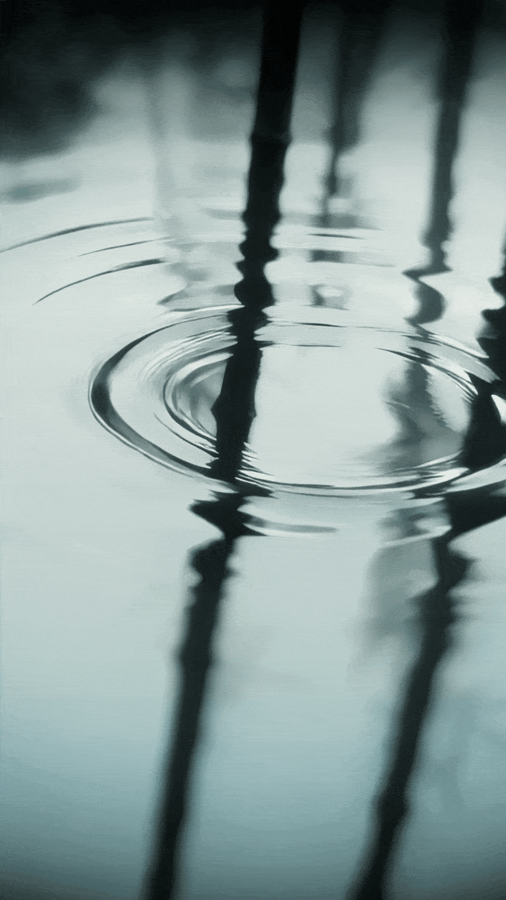 与山 竹 新中式香薰 品牌x三维动态设计合集