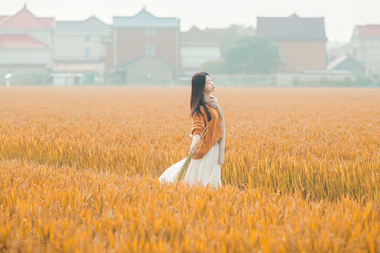 秋日稻田（图ZMzk5MTc1MDk2） - 人像摄影 - 站酷设计师微胖凹凸曼原创素材 - 站酷ZCOOL