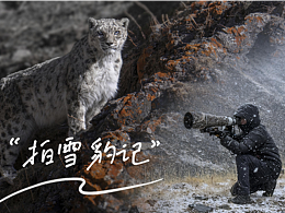 《高山之王》雪豹拍摄记