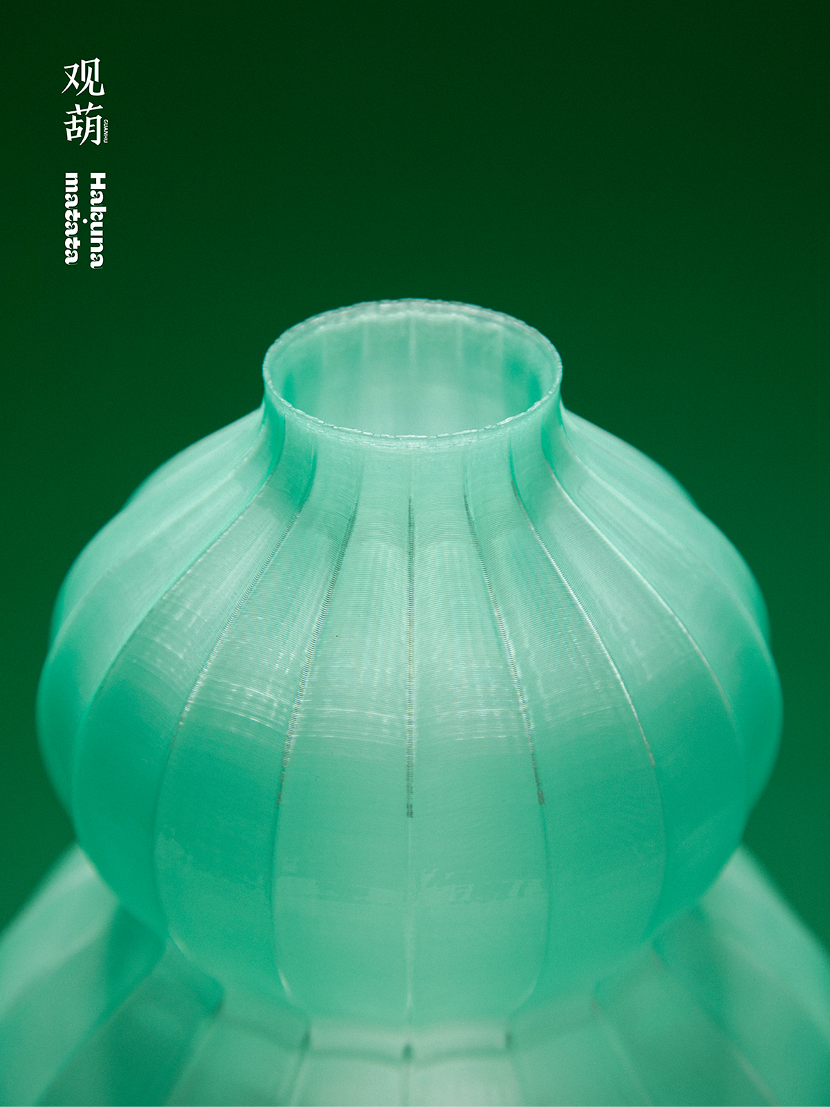 观葫 · 照见东方雅韵