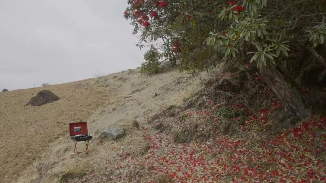 程新皓，《被禁止的音乐》（静帧），2024年，单频影像，彩色，有声，4分35秒。艺术家和三米画廊（北京 / 伦敦）惠允。   