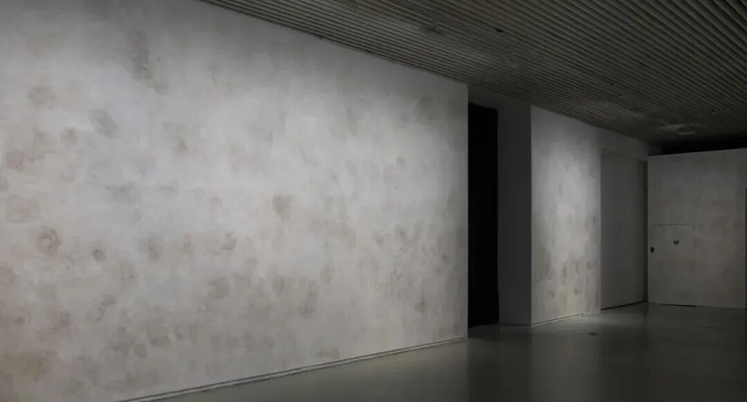 第十五届上海双年展“花儿听到蜜蜂了吗？”现已开幕！