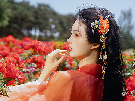 月季花中仙