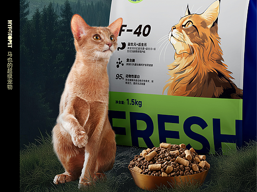 宠物摄影｜领鲜巅峰F-40 X MYFOTO PET