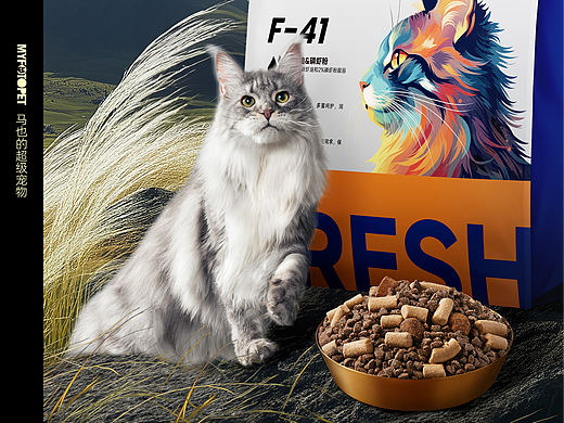 宠物摄影｜领鲜巅峰F-41 X MYFOTO PET