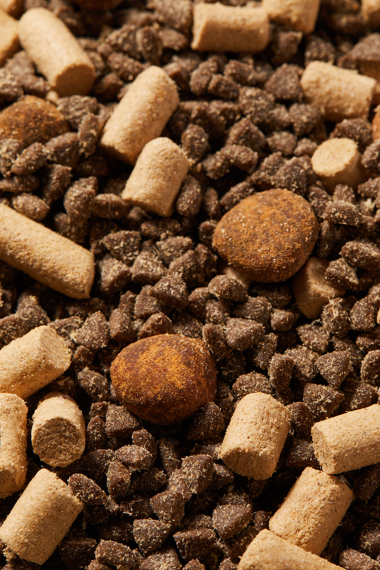 宠物摄影｜领鲜巅峰F-40 X MYFOTO PET（图ZMzk5MjA2NzE2） - 宠物摄影 - 站酷设计师MYFOTO超级宠物原创素材 - 站酷ZCOOL