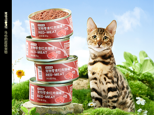 宠物摄影｜京东京造红肉猫罐头 X MYFOTO PET