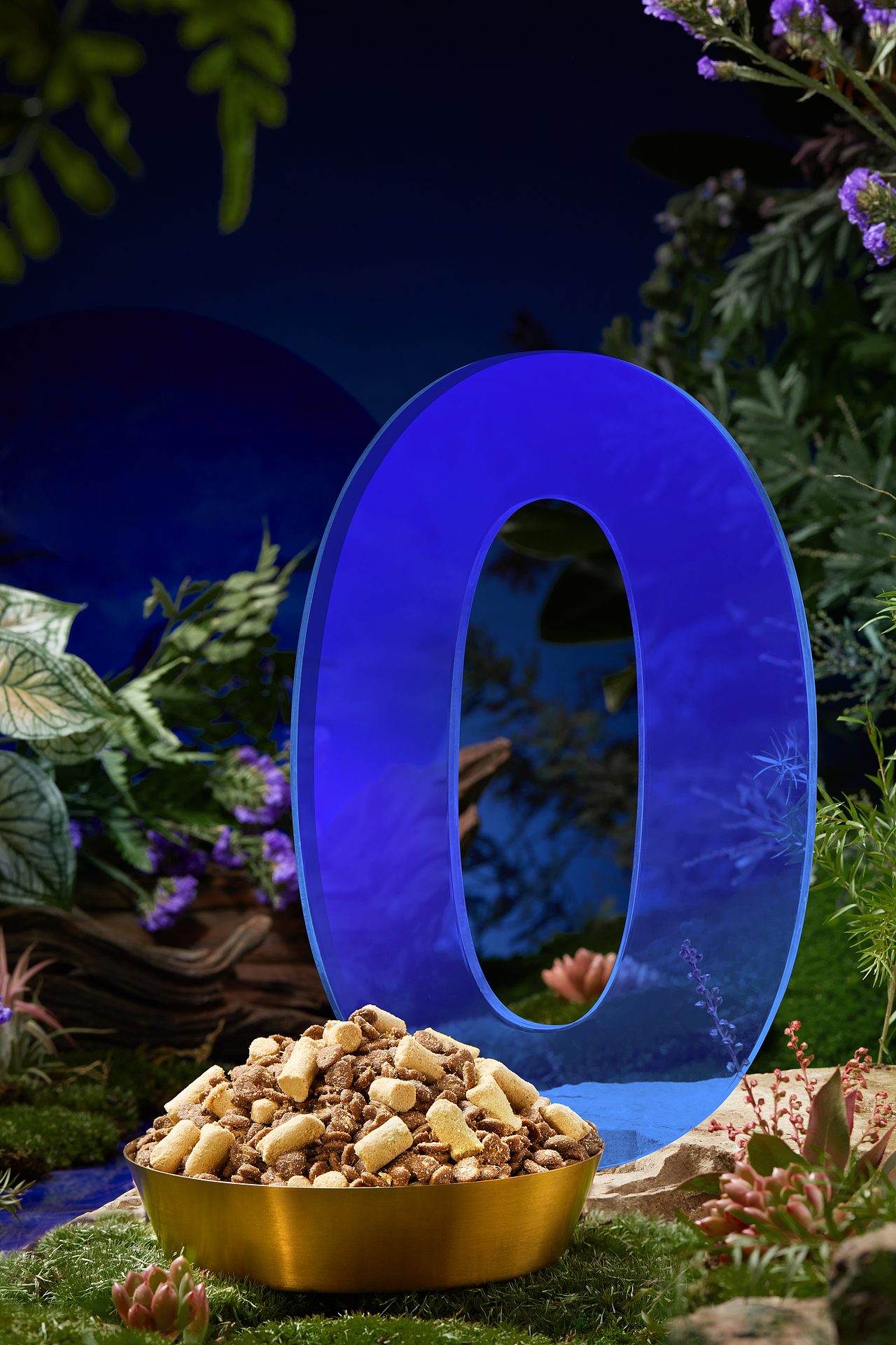 宠物摄影|京东京造乳鸽猫粮 X MYFOTO PET