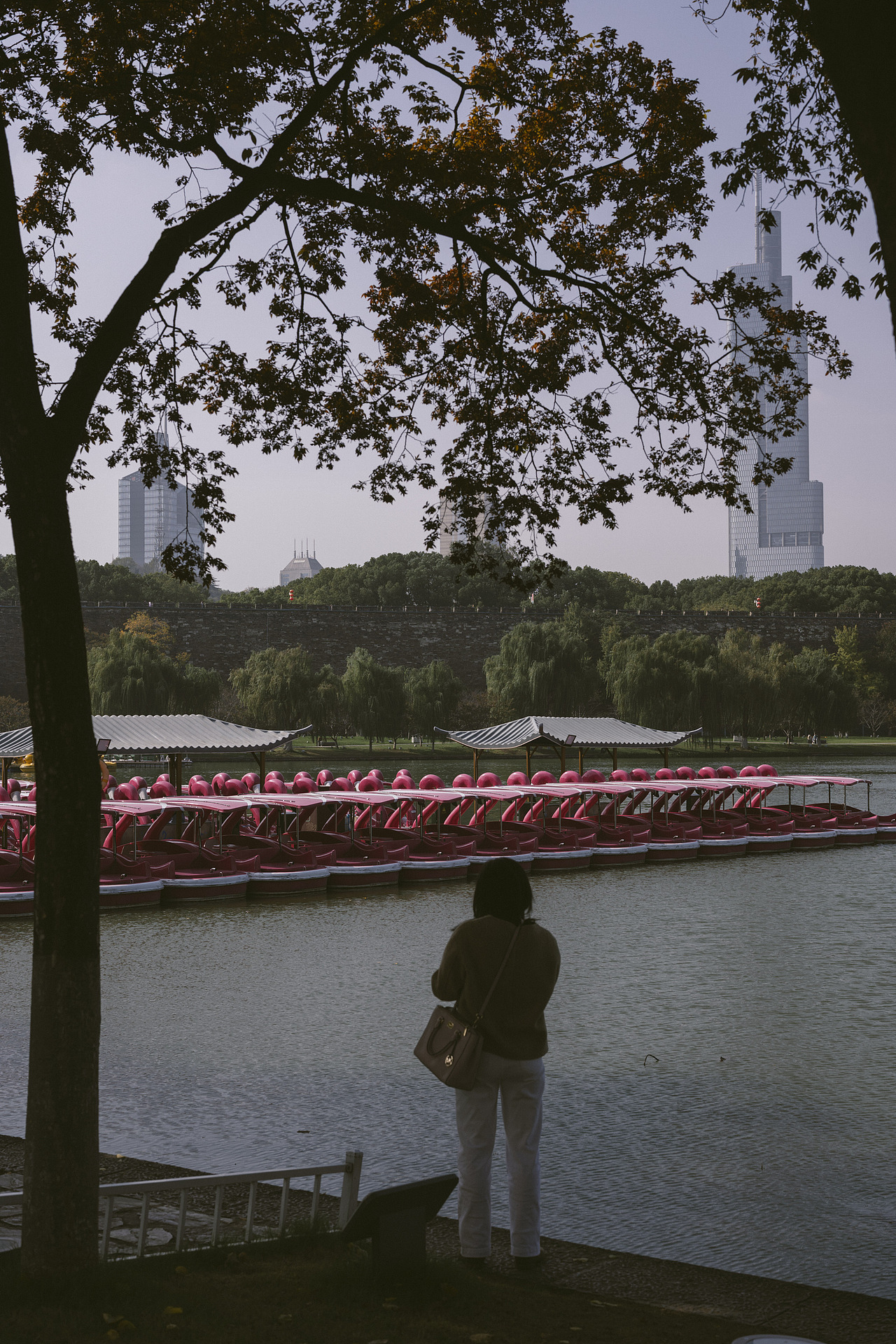 用镜头走一遍南京（图ZMzk5MjE4NTI0） - 人文/纪实摄影 - 站酷设计师陈若缺原创素材 - 站酷ZCOOL