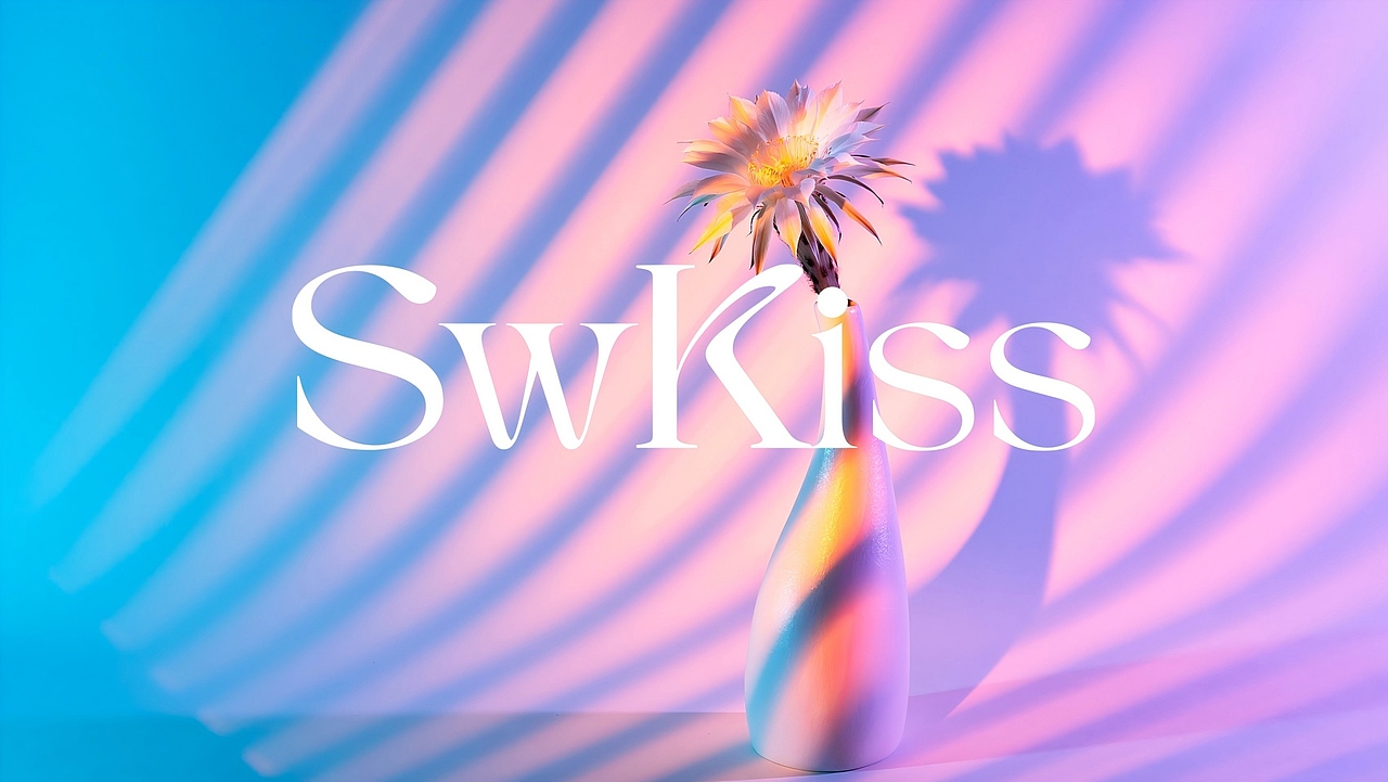 中京/SWKISS品牌（图ZMzk5MjI5Mzc2） - 包装 - 站酷设计师智远创意设计原创素材 - 站酷ZCOOL