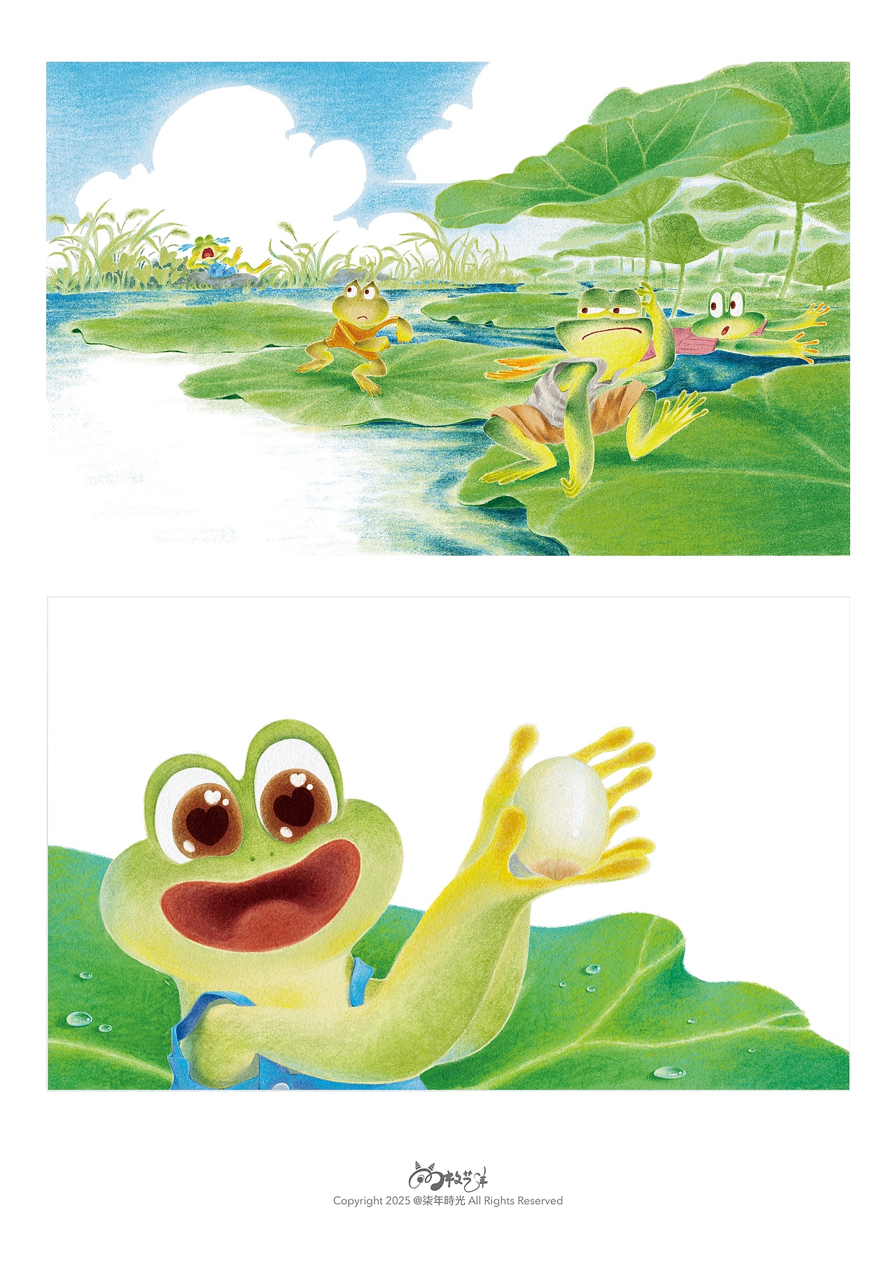 绘本插画|阿力的莲子