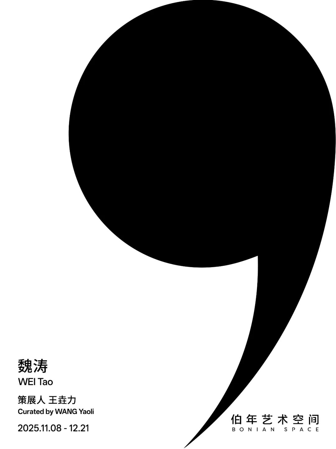 魏涛个人项目：一个矢量逗号 A Vector Comma