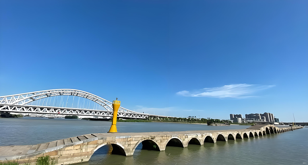 活力养老插画设计