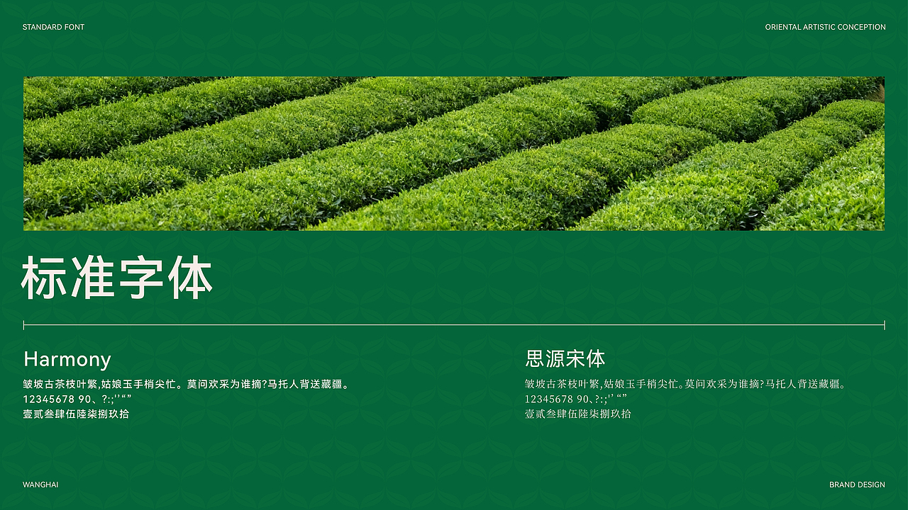 望海茶叶品牌全案设计｜茶叶包装｜