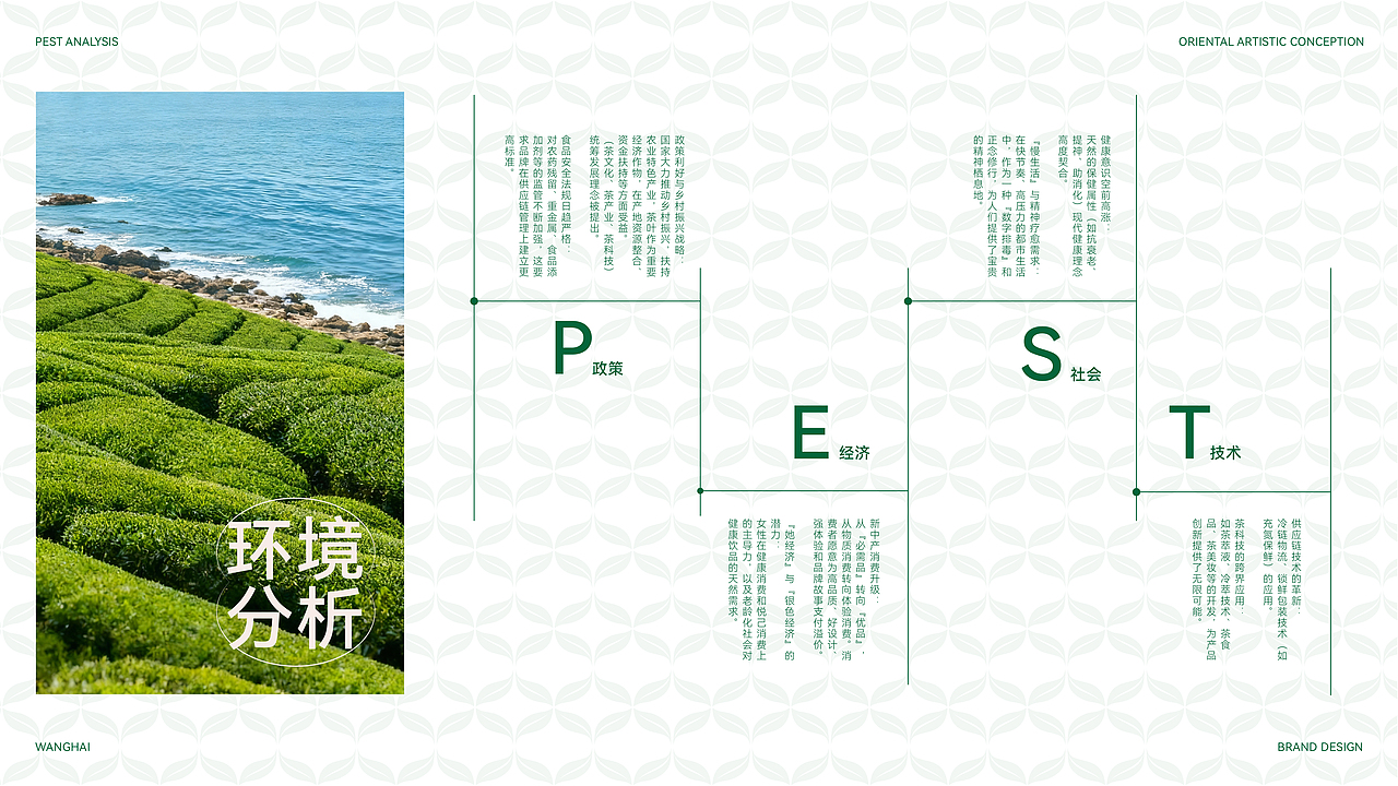 望海茶叶品牌全案设计｜茶叶包装｜