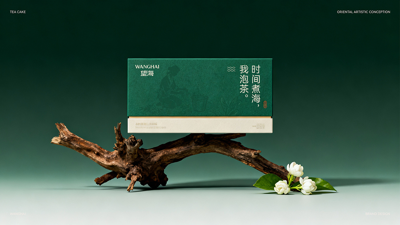 望海茶叶品牌全案设计｜茶叶包装｜