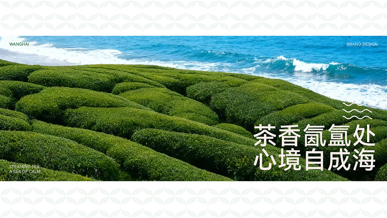 望海茶叶品牌全案设计｜茶叶包装｜