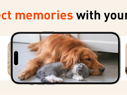 跨境5（個人主頁-ZNzI4MTgyMDQ=） - 電商 - 站酷設(shè)計(jì)師水稻RICE原創(chuàng)素材 - 站酷ZCOOL