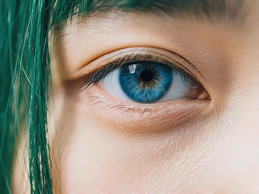 观葫艺术：重构世界