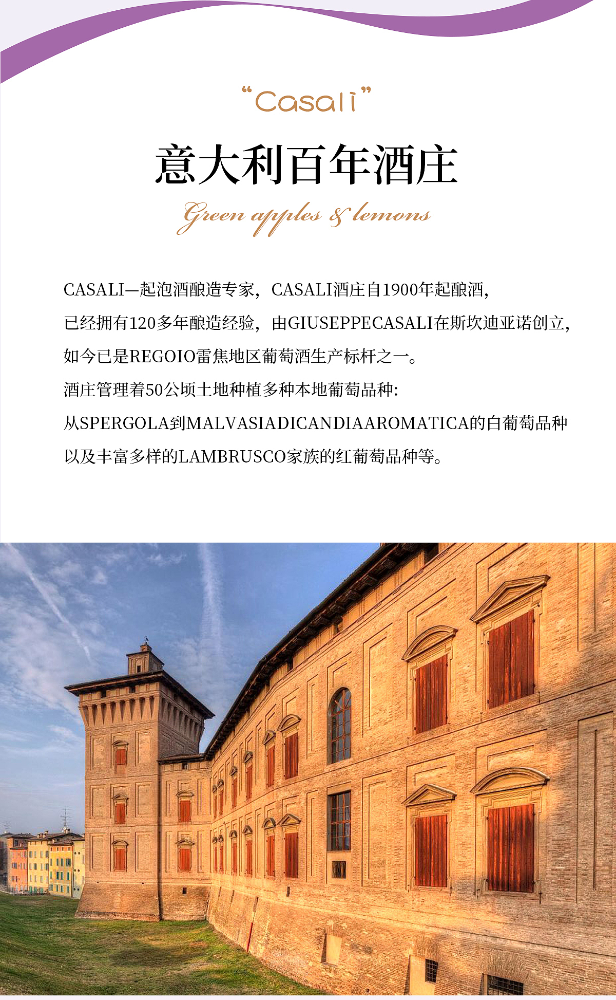 【电商设计】紫色系列甜酒详情 AI生成摄影图系列创作（图ZMzk5MjYwNDU2） - 电商 - 站酷设计师稻远山女子原创素材 - 站酷ZCOOL