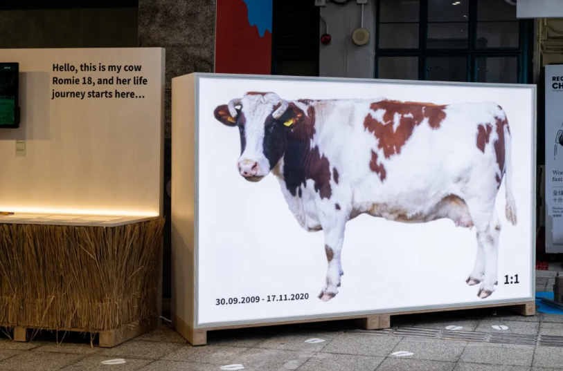 往届deTour 设计节
Via deTour 设计节