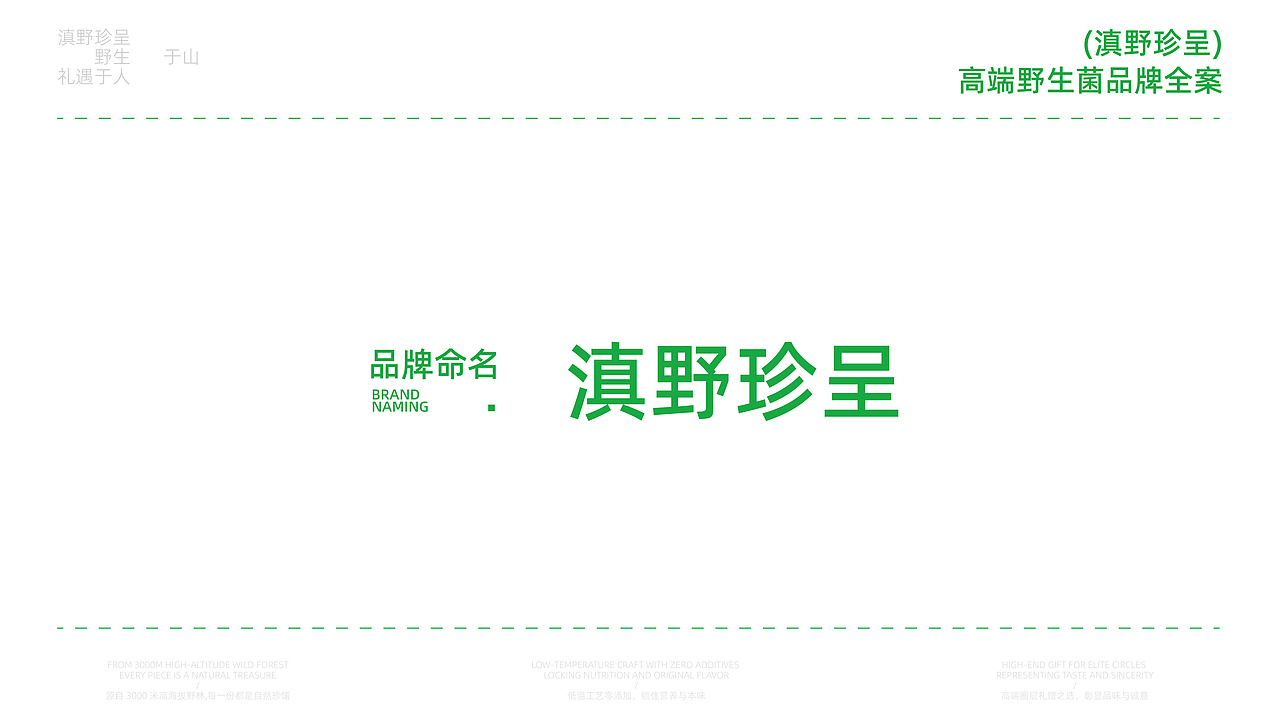 滇野珍呈，野生菌品牌全案