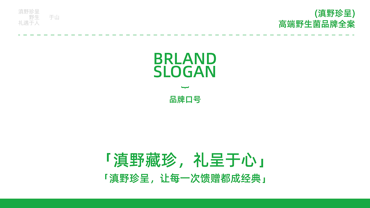 滇野珍呈，野生菌品牌全案