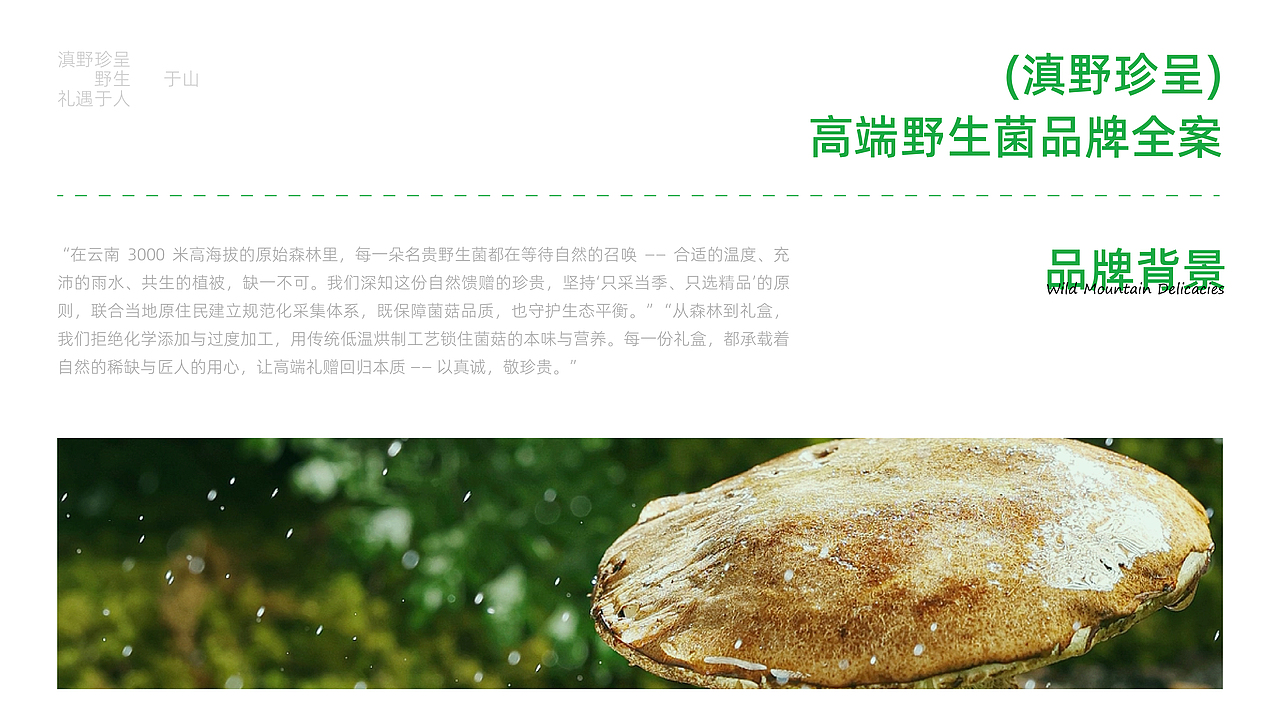 滇野珍呈，野生菌品牌全案