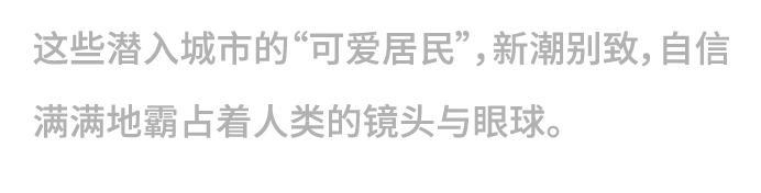 大咖来袭 | 在GAF，居然能打卡“都市鬼神炸鸡店”？（图ZMTUyOTMzODA=） - 资讯 - 站酷设计师站酷资讯原创素材 - 站酷ZCOOL