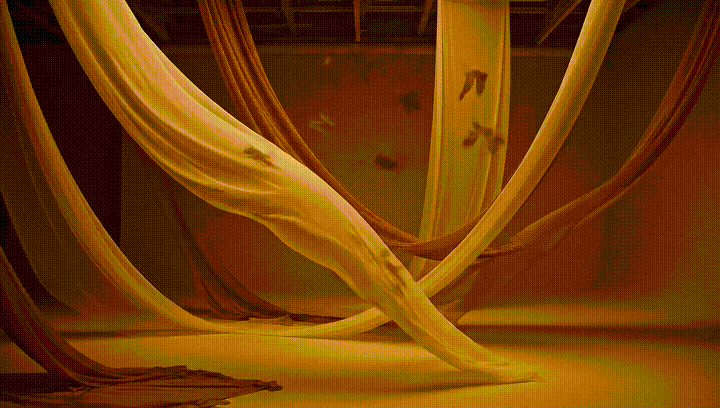 🦋 破茧与新生：流动的金色梦境 ✨（图ZMzk5MjczNDQ0） - AI作品 - 站酷设计师小团长安铺子原创素材 - 站酷ZCOOL