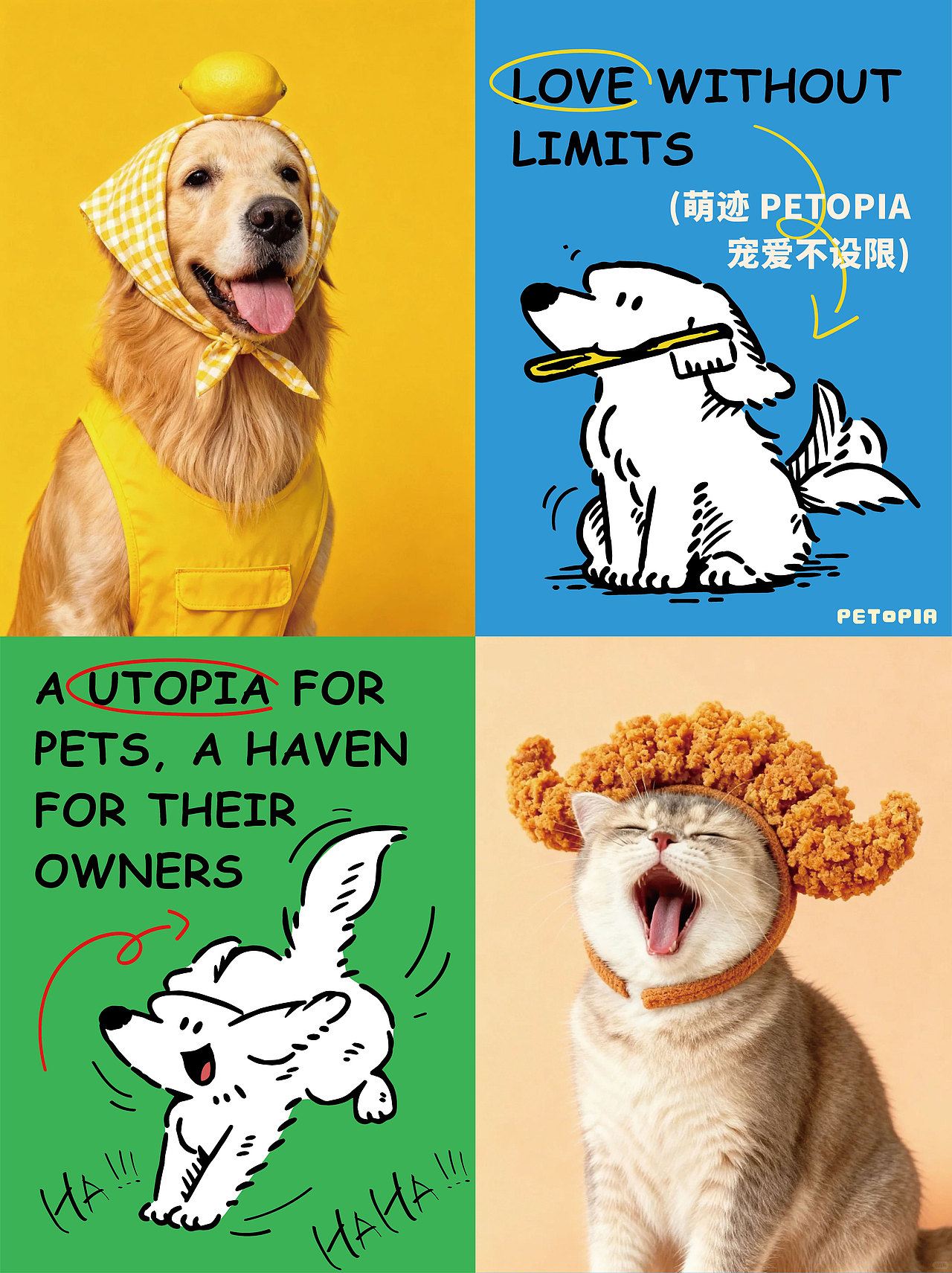 萌迹petopia--萌宠的乌托邦