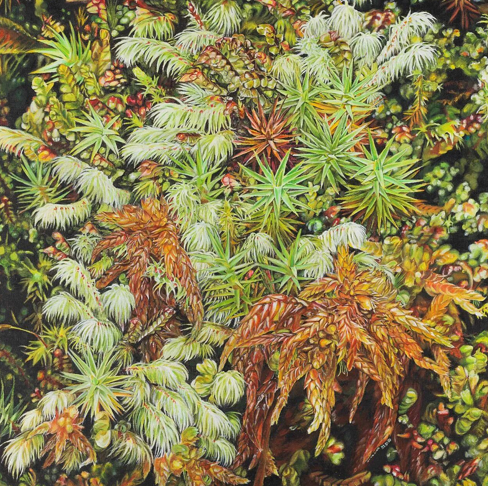 “双面镜——植物的艺术之美与科学之真”画展（图ZMzk5Mjc4MTMy） - 艺术插画 - 站酷设计师深圳市插画协会原创素材 - 站酷ZCOOL