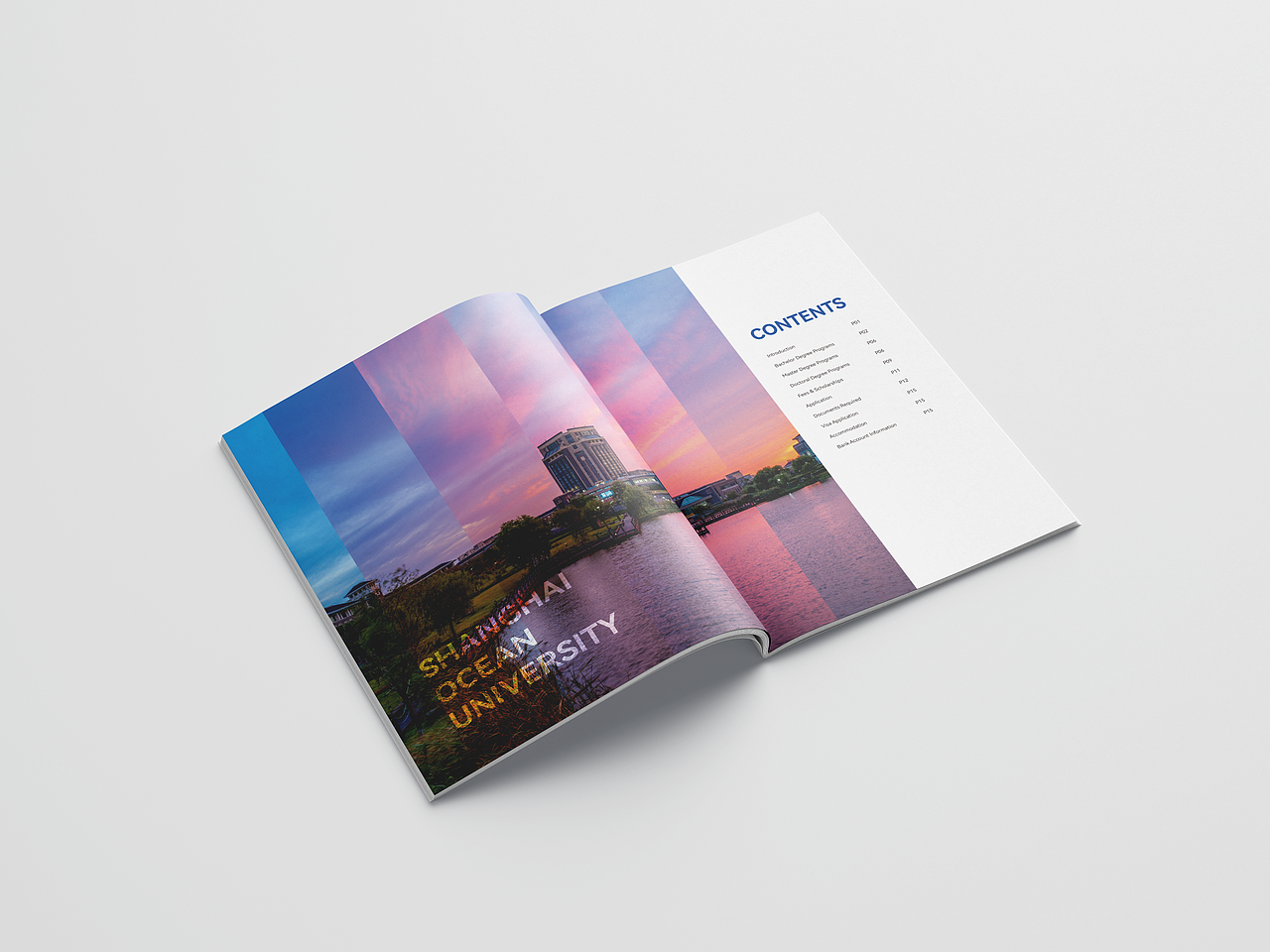 折页/手册设计 项目招生