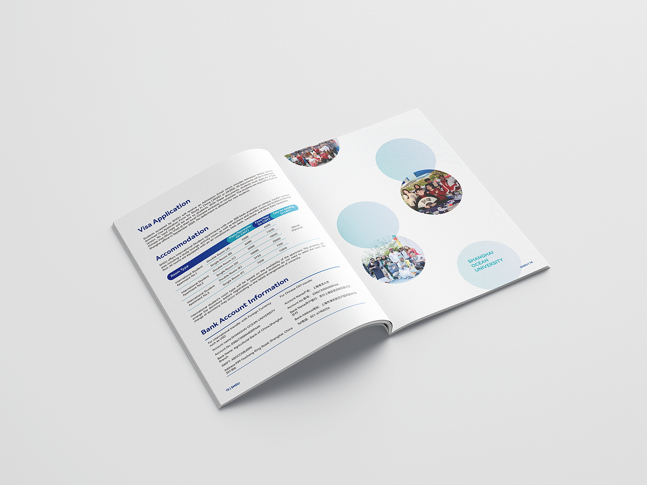 折页/手册设计 项目招生