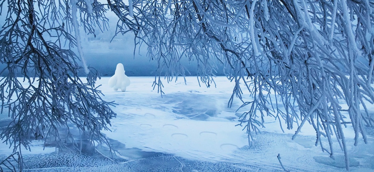 大卫猿｜地上有猩猩 天上也有星星