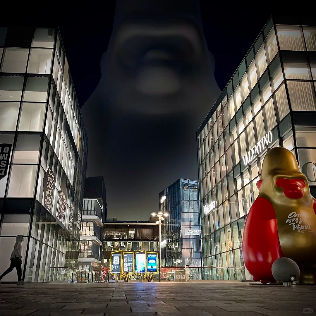 大卫猿｜地上有猩猩 天上也有星星