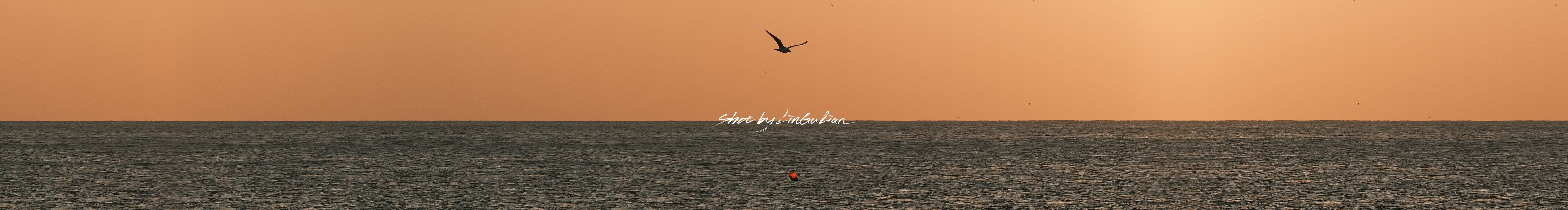 LINGULIAN的个人主页（封面预览） - 主页封面设置 - 站酷设计师LINGULIAN原创素材 - 站酷ZCOOL