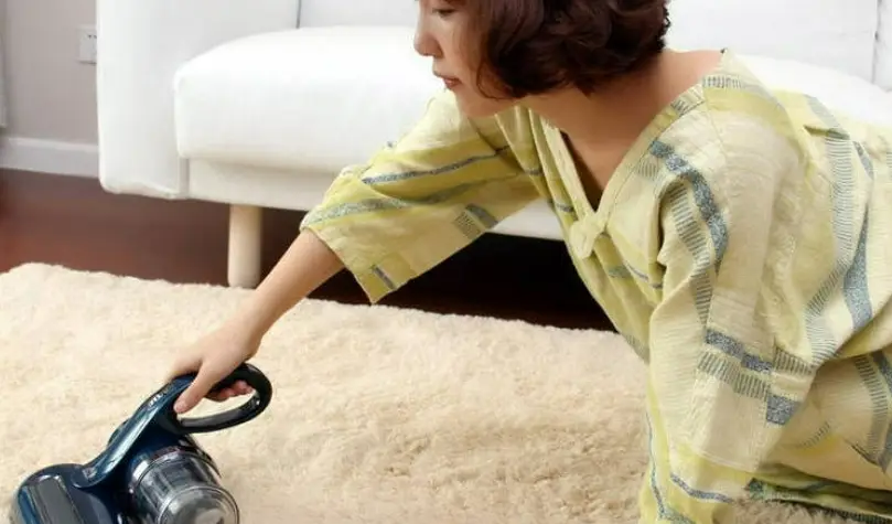 除螨仪哪个牌子的好？十大爆款除螨仪测评数据揭秘！ 小白盲选