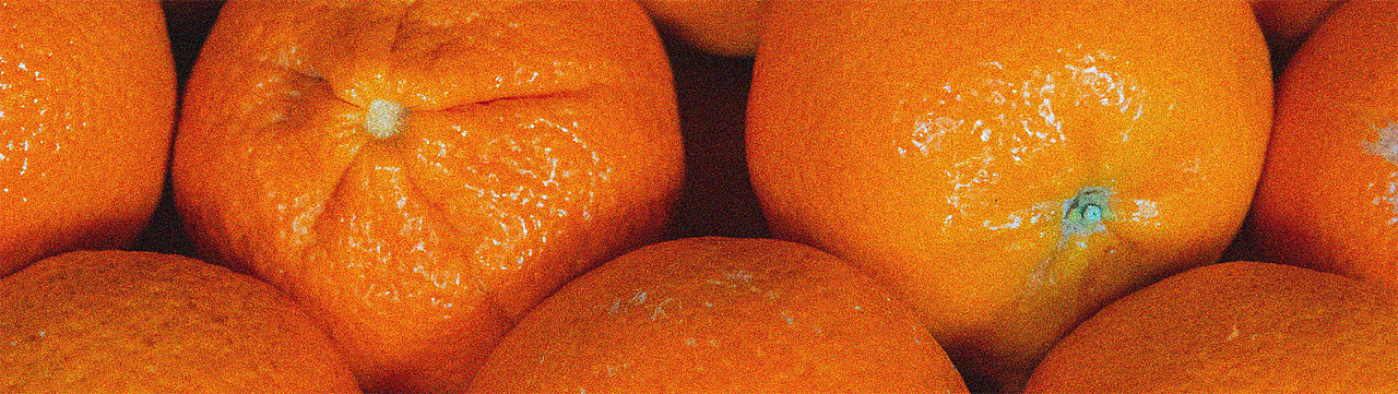 片刻MOMENTO | 微醺果酒包装设计