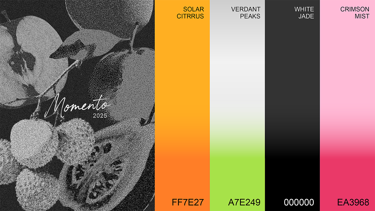 片刻MOMENTO | 微醺果酒包装设计